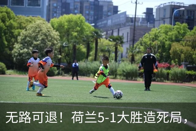 无路可退！荷兰5-1大胜造死局，日本队陷入两头堵绝境：不赢球直接出局